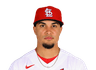 Bryan Torres