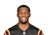 Tee Higgins