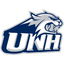 New Hampshire Wildcats logo
