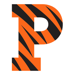 Princeton Tigers