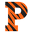 Princeton Tigers