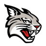 Davidson Wildcats