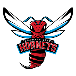 Delaware St Hornets