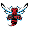 Delaware St Hornets