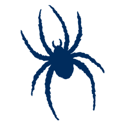 Richmond Spiders