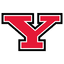 Youngstown State Penguins logo