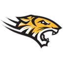 Towson Tigers
