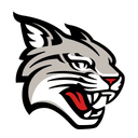 Davidson Wildcats
