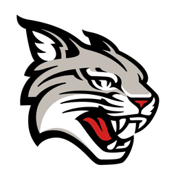 Davidson Wildcats