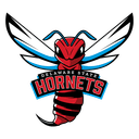 Delaware St Hornets