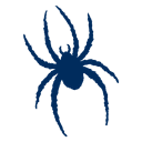 Richmond Spiders